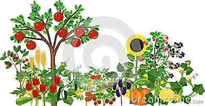 Different agriculture plants with ripe fruits and vegetables isolated. Harvest time Vector Illustration